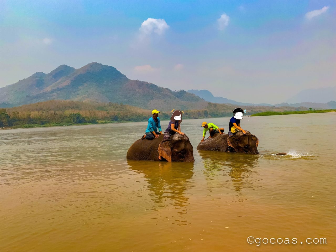 象使い体験で川で象を洗うところ
